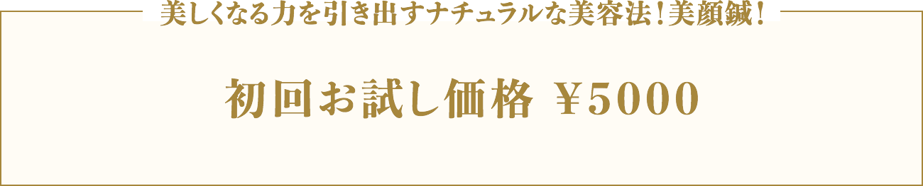 美しくなる力を引き出すナチュラルな美容法!美顔鍼! 初回お試し価格 ¥5400